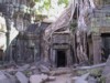 Ta Phrom 2