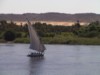 Felucca