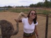 Ostrich and Jen