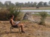 Okavango Elephants