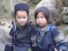 Tavan Kids