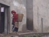 Red Zao Basket