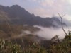 Misty View