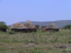 Swazi Huts